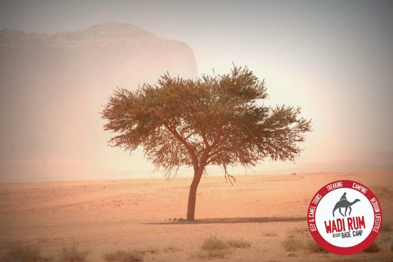 Wadi Rum Desert Base Camp Εξωτερικό φωτογραφία